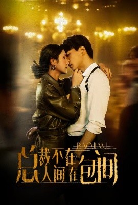 总裁不在人间在包间 (2024)-58创客网