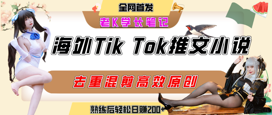 海外tiktok小说推文暴力项目，高停留率，高转化率，上手后一天搞顿饭钱不是问题-58创客网