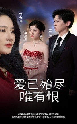 爱已殆尽唯有恨 (2024)-58创客网