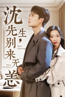沈先生，别来无恙（60集）方正男＆陈辞 (2025)-58创客网