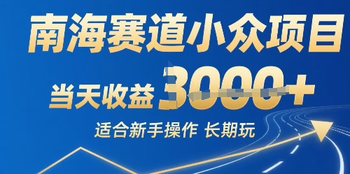 南海赛道小众项目，当天收益1k+适合新手操作可以长期玩-58创客网