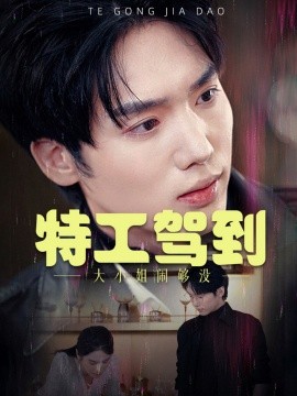 特工驾到大小姐闹够没 (2025)-58创客网
