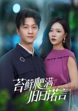 苔藓爬满旧日诺言（83集）王鹏＆钟莹玲 (2025)-58创客网