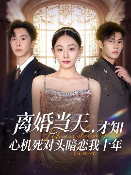 离婚当天，才知心机死对头暗恋我十年（90集）鞠可儿&刘承林 (2025)-58创客网