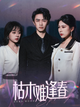 枯木难逢春 (2025)-58创客网