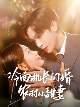 冷面机长闪婚农村小甜妻（73集）林世杰＆赵佳欣 (2025)-58创客网