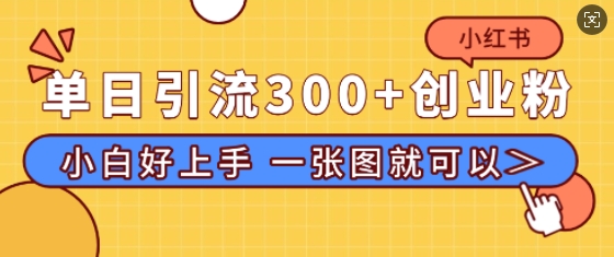 小红书单日引流300+创业粉，“简单粗暴”引流法，小白好上手，私信回不完-58创客网