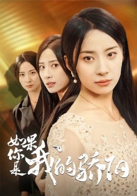 如果你是我的骄阳 (2024)-58创客网