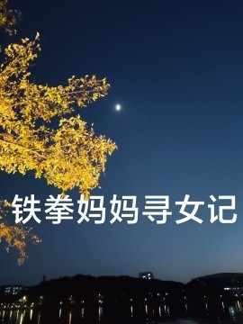铁拳妈妈寻女记 (2024)-58创客网