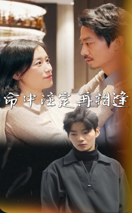 命中注定再相逢 (2025)-58创客网