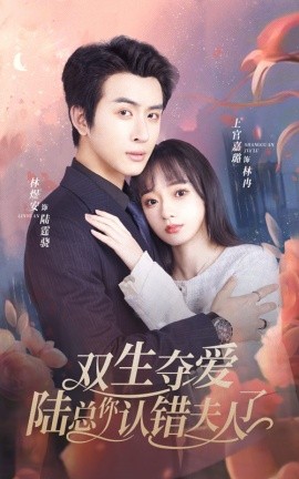 双生夺爱陆总你认错夫人了 (2024)-58创客网