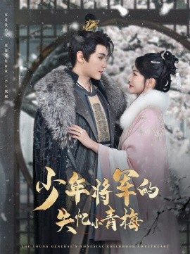少年将军的失忆小青梅（100集）赵垣又＆牛湘鹭 (2025)-58创客网