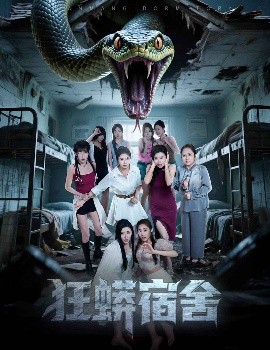狂蟒宿舍（50集）陈诺&涂蕊&岳桐 (2025)-58创客网