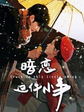 暗恋这件小事（100集）孟佳辉＆诗越越 (2025)-58创客网