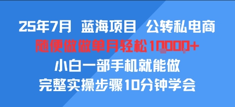 25年7月蓝海项目，公转私电商，随便做做单月轻松1w，小白一部手机就能做，完整实操步骤10分钟学会-58创客网