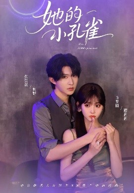 她的小孔雀（40集）张集骏&许梦圆 (2025)-58创客网