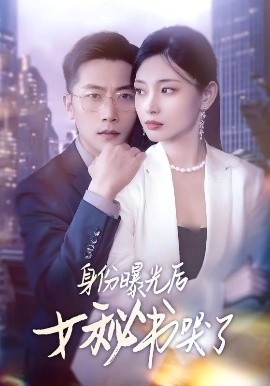 身份曝光后女秘书哭了（31集）刘雪君&张家川 (2025)-58创客网