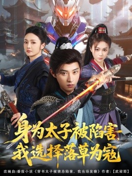身为太子被陷害，我选择落草为寇（87集）孙景琛＆胡冬晴 (2025)-58创客网