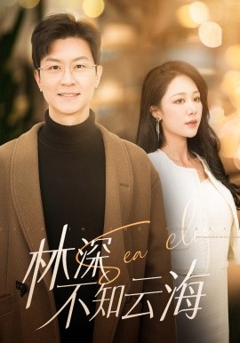 林深不知云海 (2025)-58创客网