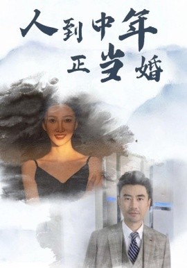 人到中年正当婚 (2024)-58创客网