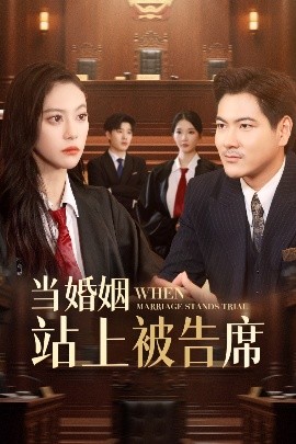 当婚姻站上被告席（30集）刘林&刘涵飞 (2025)-58创客网