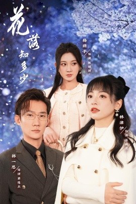 花落知多少 (2025)-58创客网