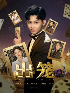 出笼（合集）丁磊&侯雨彤&刘凡 (2025)-58创客网