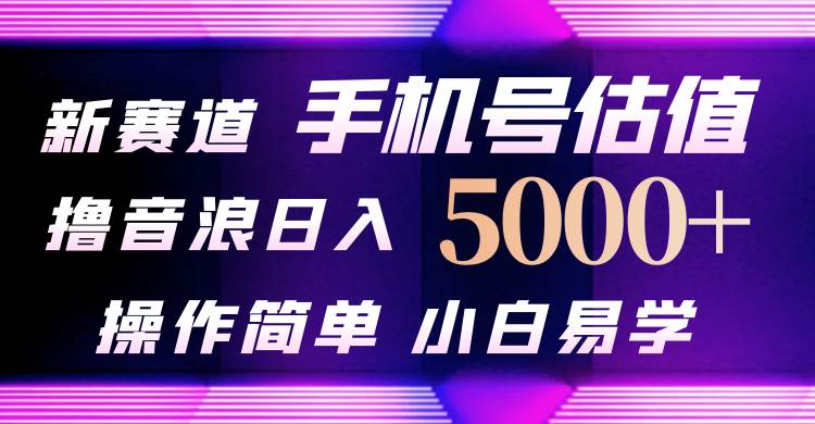 抖音不出境直播【手机号估值】最新撸音浪，日入5000+，简单易学，适合…-58创客网