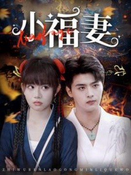 小福妻 (2025)-58创客网