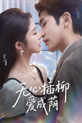 无心插柳爱成荫（80集）李铂一＆吴毅非 (2025)-58创客网