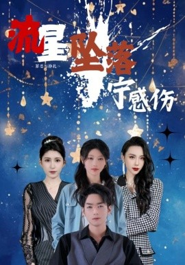 流星坠落宁感伤（82集）刘欣悦&蒯文虎 (2025)-58创客网