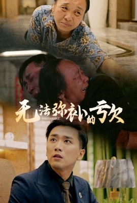 无法弥补的亏欠 (2024)-58创客网