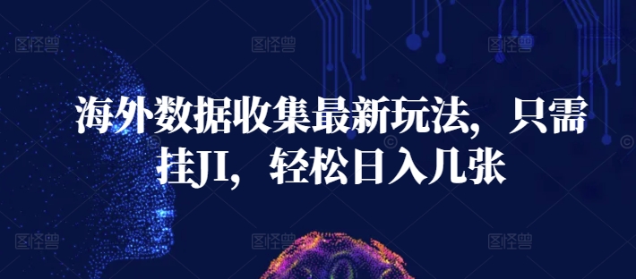 海外数据收集最新玩法，只需挂JI，轻松日入几张-58创客网