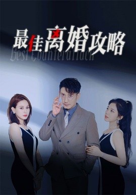 最佳离婚攻略 (2024)-58创客网