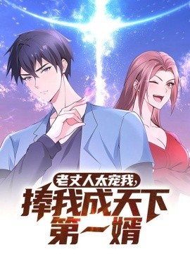 老丈人太宠我，捧我成天下第一婿（60集）动漫 (2025)-58创客网
