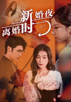 新婚夜，离婚时 (2024)-58创客网