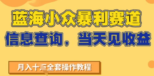 蓝海小众暴利赛道，信息查询，当天见收益，不讲玄学，7天搞了2W+-58创客网