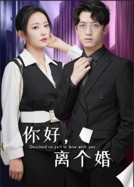 你好，离个婚 (2024)-58创客网