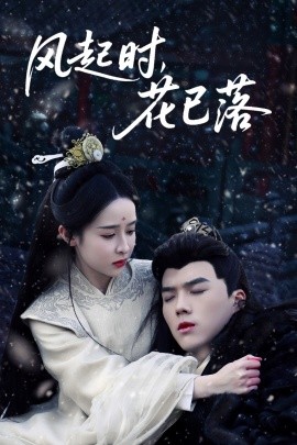 风起时，花已落（49集）王蔼玲 (2025)-58创客网
