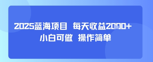 2025蓝海项目 每天收益多张 小白可做 操作简单-58创客网