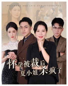 怀孕被裁后夏小姐杀疯了 (2024)-58创客网