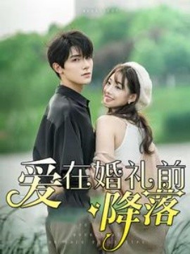 爱在婚礼前降落 (2024)-58创客网