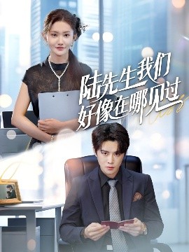 陆先生我们好像在哪见过（70集）刘美伦&曲曦晨 (2025)-58创客网