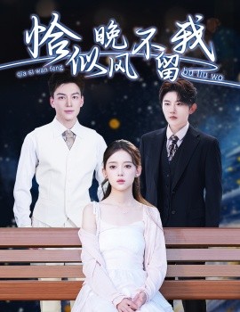 恰似晚风不留我＆弃他如风（51集）黄帅帅＆唐敬 (2025)-58创客网