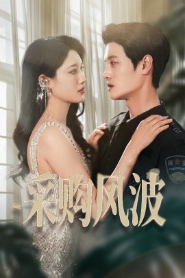 采购风波（45集）刘方为&王熳熳 (2025)-58创客网