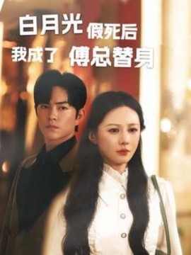 白月光假死后我成了傅总替身 (2024)-58创客网