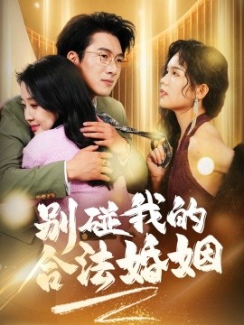 别碰我的合法婚姻 (2025)-58创客网