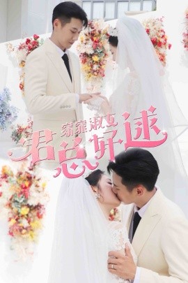 窈窕淑女，君总好逑 (2024)-58创客网