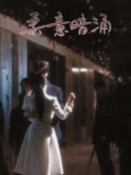 柔意暗涌（100集）陈景赫&韩录锦 (2025)-58创客网