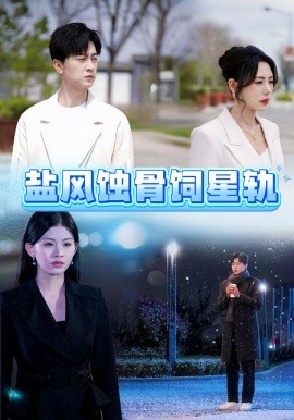 盐风蚀骨饲星轨（60集）王鹏 (2025)-58创客网